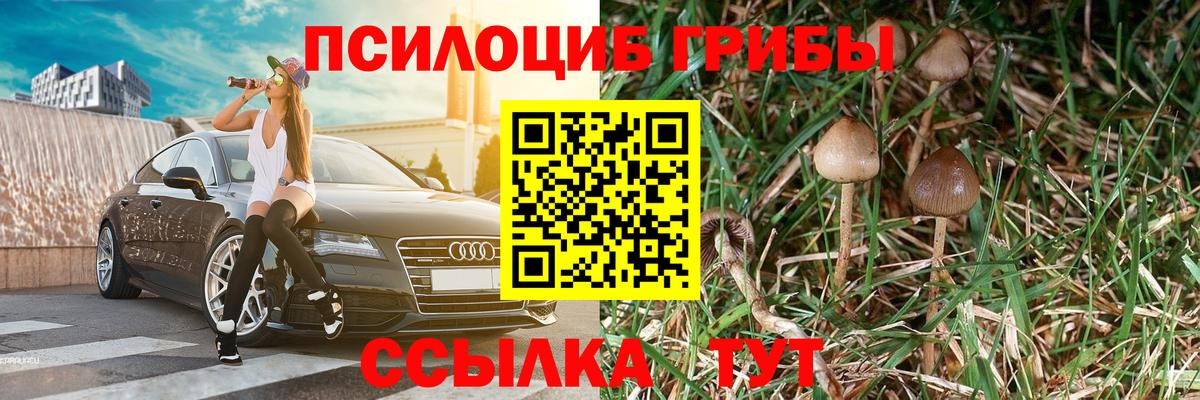 Галлюциногенные грибы Psilocybine cubensis Великий Новгород