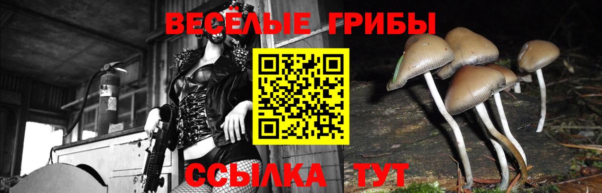 Великий Новгород  Псилоцибиновые грибы GOLDEN TEACHER  Вход с VPN 